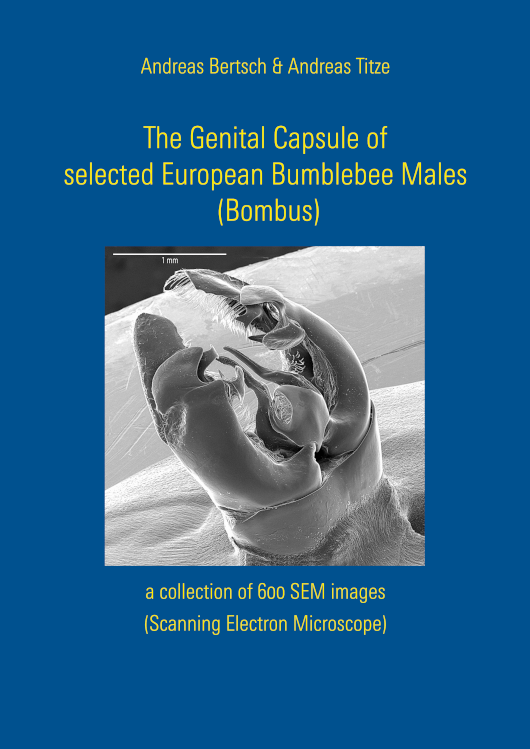 The Genital Capsule of selected European Bumblebee Males (Bombus), a collection of 600 SEM pictures